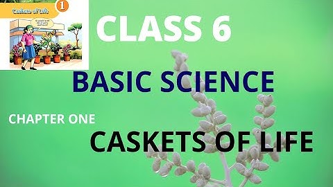 Kerala syllabus | CLASS 6 | Basic Science | Chapter 1: Caskets Of Life