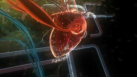 lifeforce by andromeda software development HD