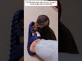 The little otter swam after me and I adopted it and then #otter #babyotter #animals