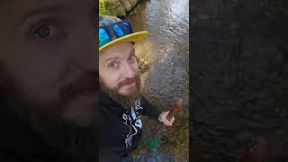 The Best Sound in Gold Prospecting