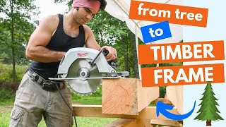 From Tree to Timber Frame - timber frame porch in 5 minutes by Appalachian Wood 890 views 7 months ago 5 minutes