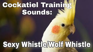 Cockatiel Budgie Training Sounds: Sexy Whistle | Wolf Whistle