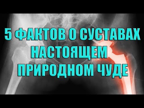 Видео: 5 Фактов о суставах, настоящем природном чуде - ОКЕАН ФАКТОВ