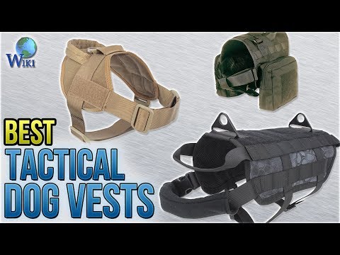 8-best-tactical-dog-vests-2018