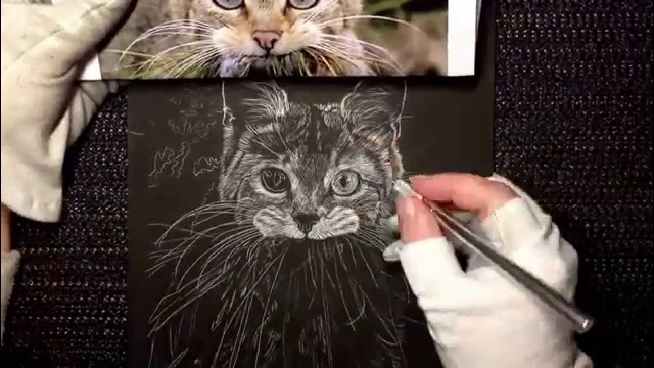 How to draw eyes in scratchboard Video 1. YouTube
