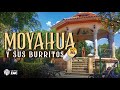 Video de Moyahua de Estrada