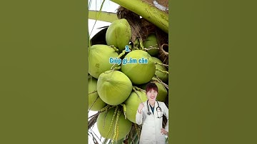 7 Lợi ích của việc uống nước dừa tươi vào buổi sáng #thinhhanh #xuhuong #bacsidaivy #bacsivy #bsvy