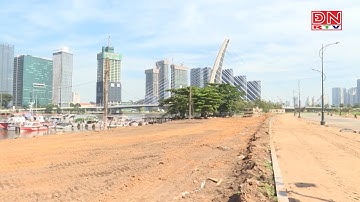 Sắp có cánh đồng hoa hướng dương trải dọc bờ sông Sài Gòn