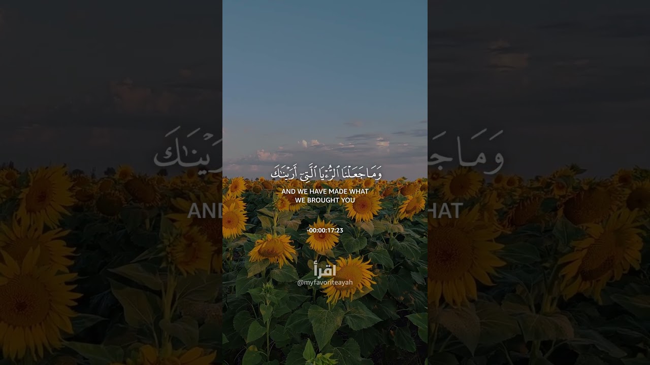 ALLAH'S SIGNS ❤️‍🩹 #shorts #quran #islamicreminder #islamicreminders #quranrecitation