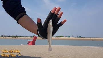 Tập dùng máy ngang. Lua_rê cá đục - Câu cá biển Vũng Tàu