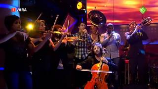 The Kyteman Orchestra - The Mushroom Cloud - DWDD