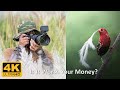 Tamron 50-400mm Lens Review: Best Zoom lens for Sony? | Sony A7 IV | Wildlife Photography in India.