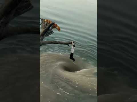 البحر امامكم والعدو وراءكم