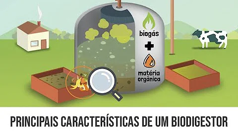 Quanto de gás produz um biodigestor?