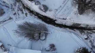 Drone Shows Aftermath of 'Massive' Tree Crashing Onto Cars During Nor'easter