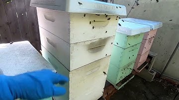 Adding a brood box to a bee hive