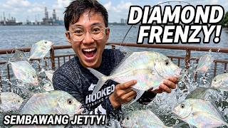 Unbelievable Sembawang Jetty Catches! (I Can't Believe This Happened) Unbelievable Sembawang Jetty Catches! (I Can't Believe This Happened)