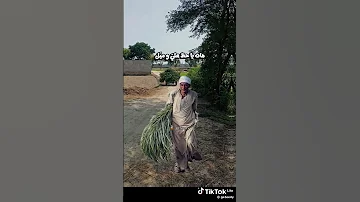 رجعوني تاني عيل 