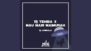 DJ Tehiba X Mau Main Munah