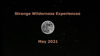 Strange Wilderness Experiences - May 2021