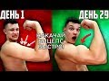 КАЧАЛ БИЦЕПС 29 ДНЕЙ ПОДРЯД, ВОТ ЧТО ВЫШЛО!!!