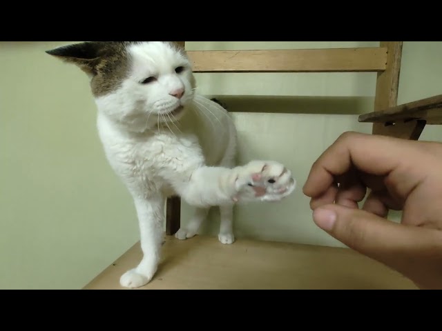 근황
