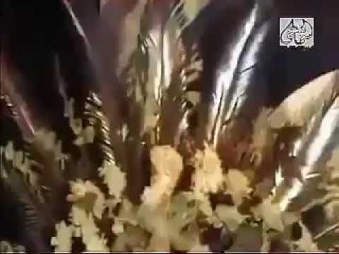 ولا ملامه علينا ملامه وحنا تعبنا وذبنا ياما العندليب الاسمر عبد الحليم حافظ