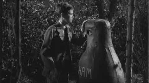 To Kill a Mockingbird Chapter 28