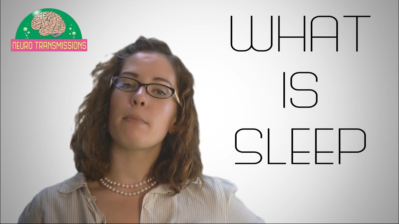 What Is Sleep?
