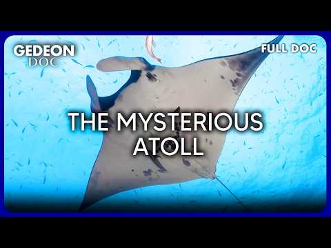 Clipperton: Secrets of the Most Remote Atoll in the Pacific | Full Science Documentary