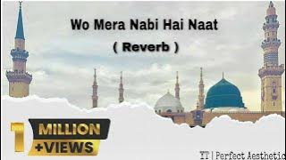 Wo Mera Nabi Hai | Wo Mera Nabi Hai Naat Lofi | New Naat