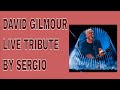 DAVID GILMOUR MOTHER + SOLO LIVE BY SERGIO