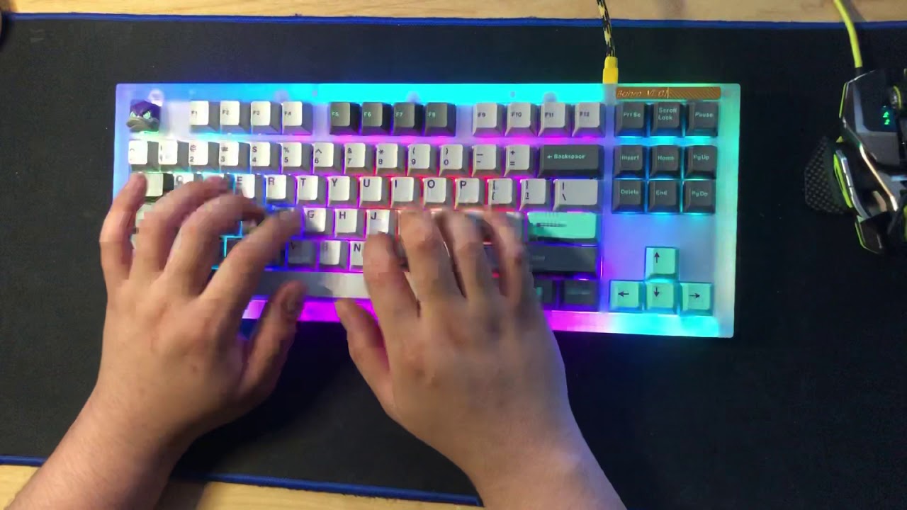 BahmVi PC with holy panda switch typing sounds YouTube