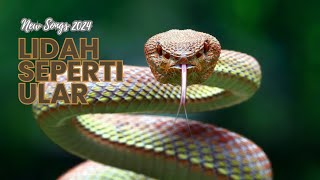 Lidah Seperti Ular – Lagu Peringatan tentang Kekuatan Kata-Kata
