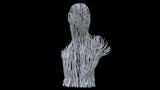 Growth experiment in Houdini