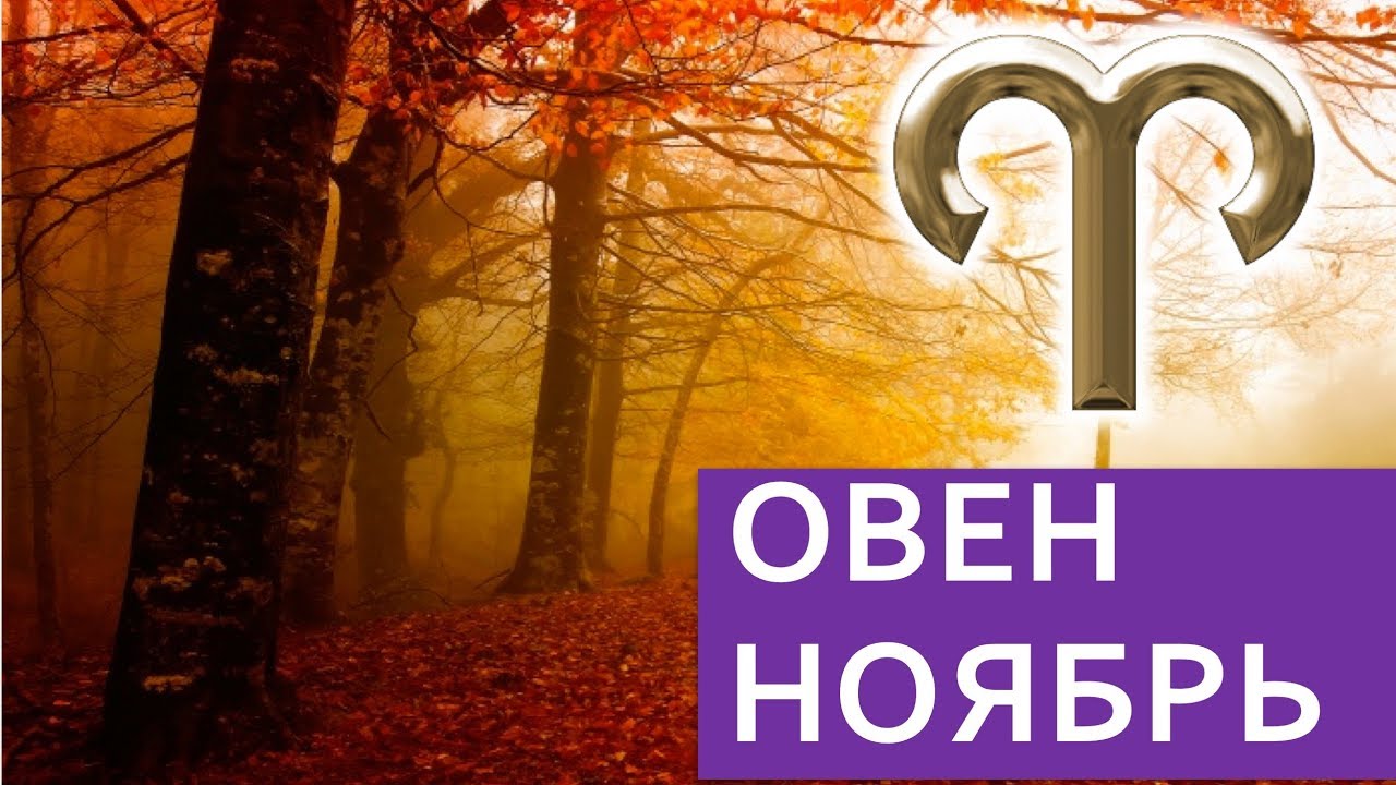 Смотреть - Как украсить бутылку Шампанского на Новый год 2019 видео Смотрите - Как украсить бутылку Шампанского на Новый год 2019 видео