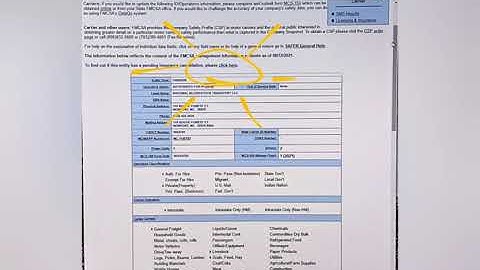 Transport Company Snapshot Info