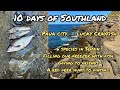 Free diving and hunting in southland new zealand