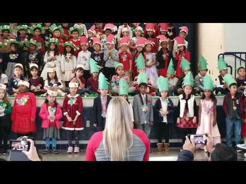Marshall Pomeroy Elementary School Christmas Performance 2019