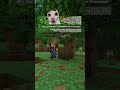 Майнкрафт Моды Убирающие Лаги #minecraft #майнкрафт