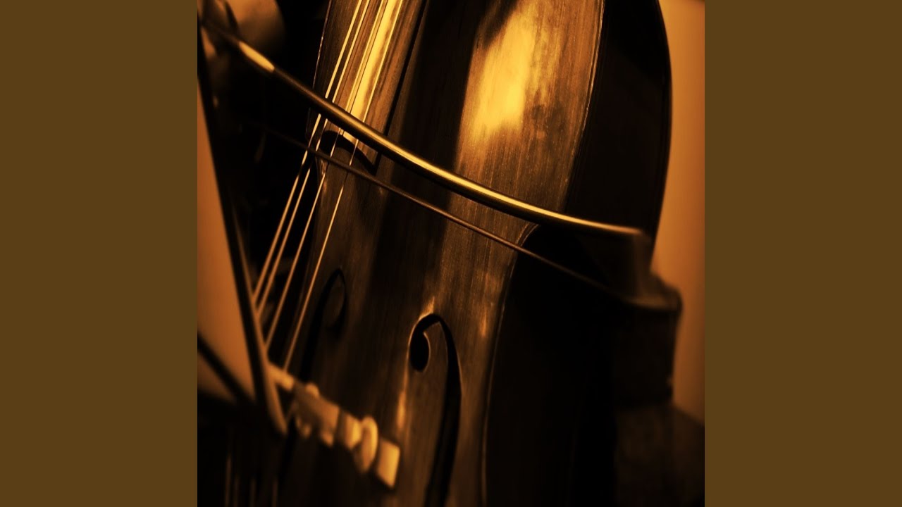 BASS COLORS Excerpts from Beethoven 5th