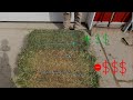 This thumbnail shows how hay farms go broke