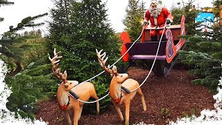 Santa's Grotto at Friezeland's Enchanted Grotto