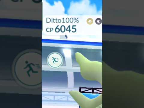 OMG! Ditto transform into 6000 cp Mega #shorts #mega #raid #ultragoo #caught #transform #ditto