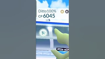 OMG! Ditto transform into 6000 cp Mega #shorts #mega #raid #ultragoo #caught #transform #ditto