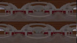VR test injected
