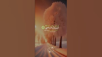 #قرآن #قران_كريم #قران #quran #allah#تلاوة_خاشعة #اكسبلور #المصحف #لايك #راحة_نفسية #الرحمن #تلاوات