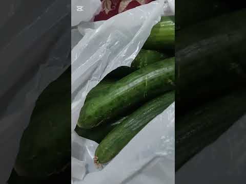 عشانا ومسواكنا