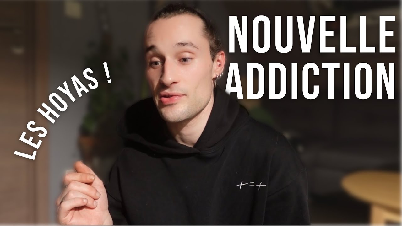 Des Hoyas en folies !