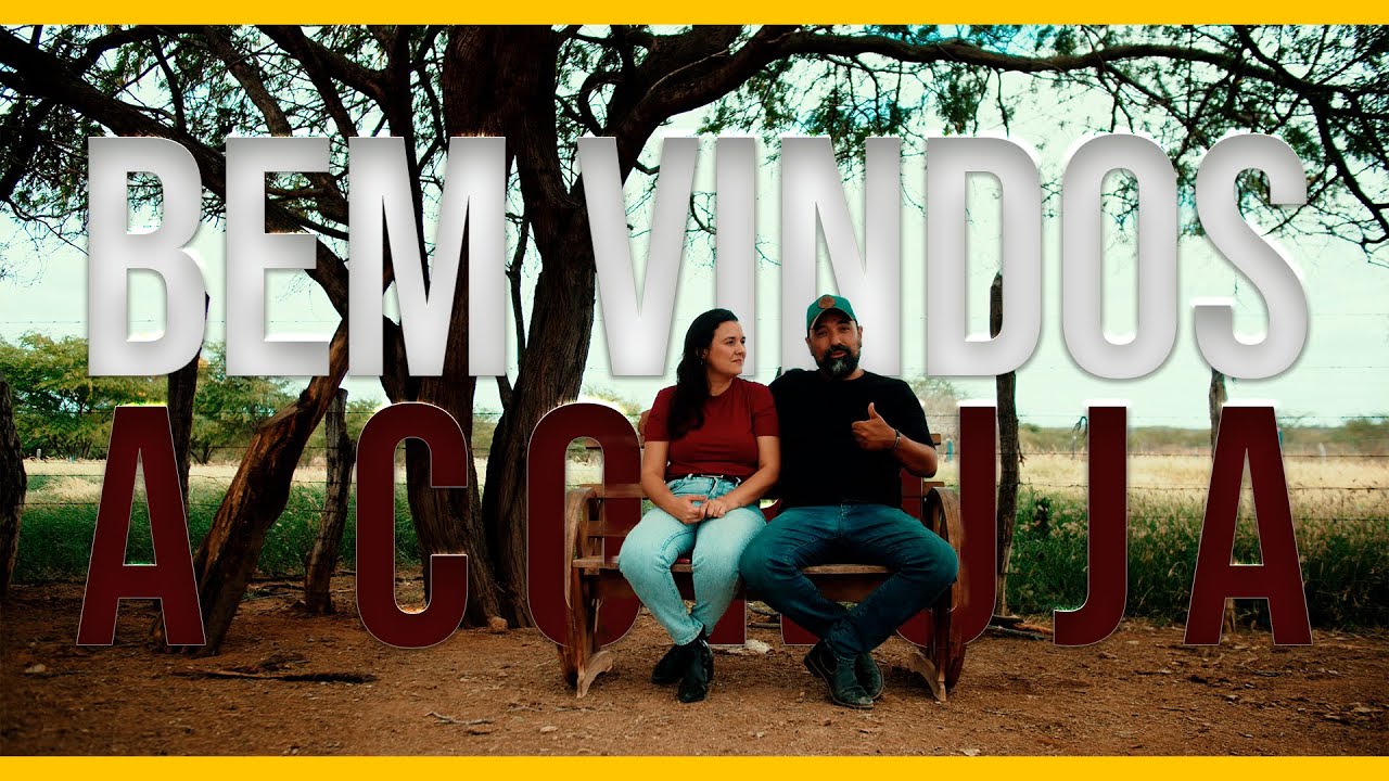 Bem vindos ao canal da Fazenda Coruja!